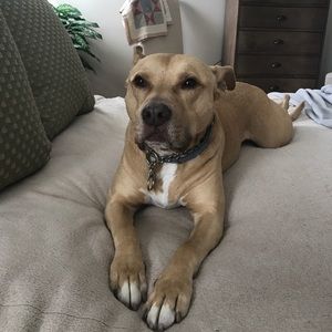 Meet your Posher, Taylor